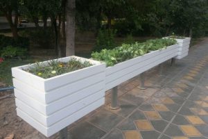 photo_2016-03-02_09-39-02